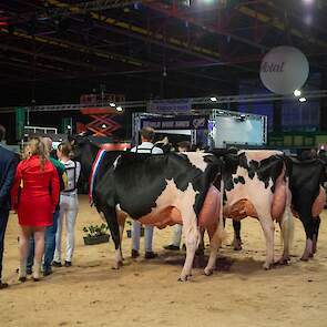 De seniorentitel ging naar Topcross Janice 1. Reservekampioene werd Bons-Holsteins Roza 76 en de eervolle vermelding was voor Remonte 60.