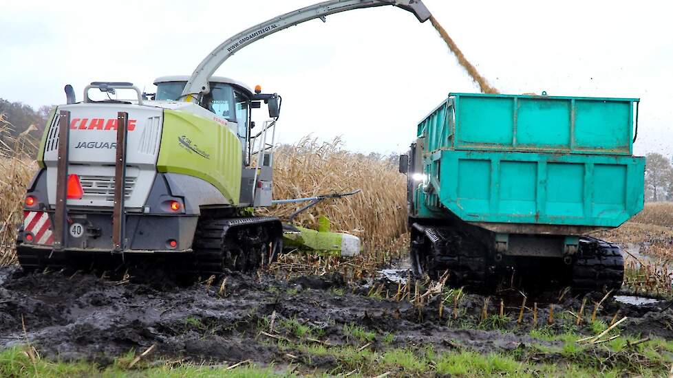 De Claas Jaguar 904 rijdt in combinatie met rupsdumpers van 20 m3.