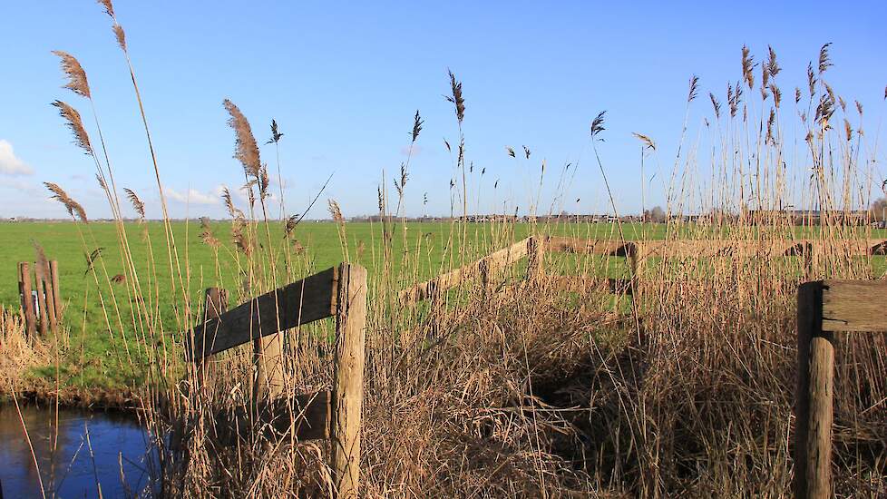 De Utrechtse polder. Afbeelding ter illustratie.