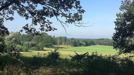 Springendal en Dal van de Mosbeek.
