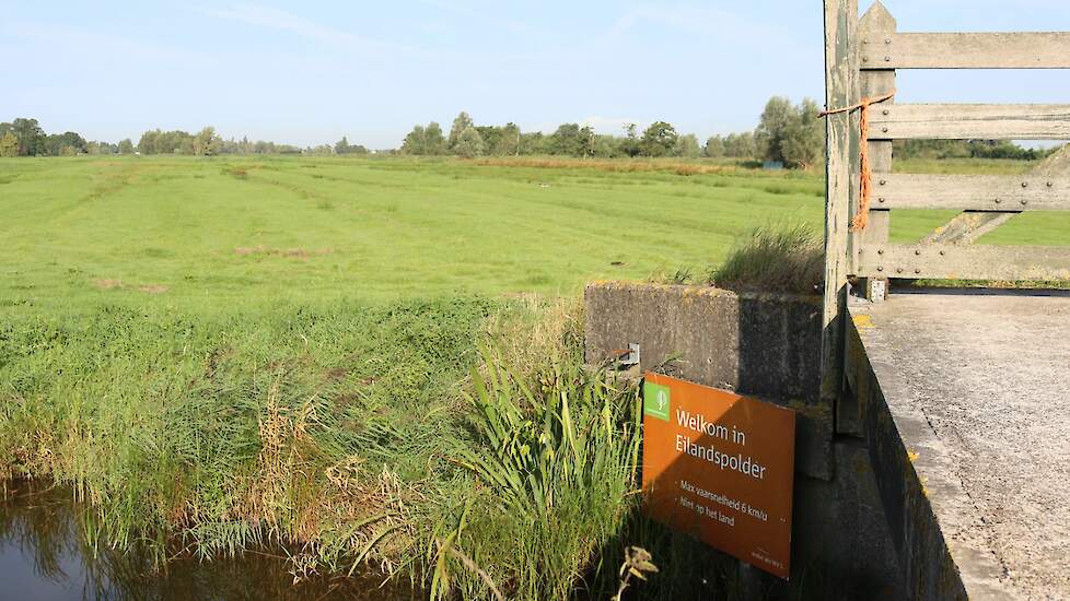 Bord Eilandspolder