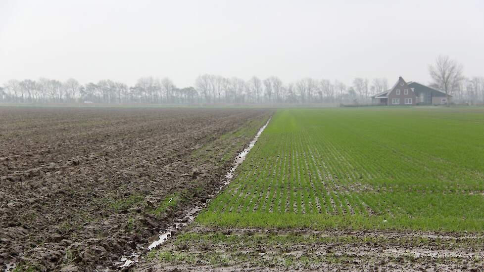 Beeld ter illustratie. Een akker en weiland op Goeree-Overflakkee.
