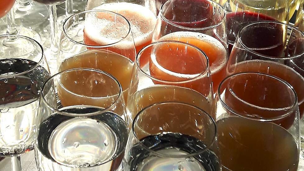 ‘Doe onderzoek naar overlast schuurfeesten’