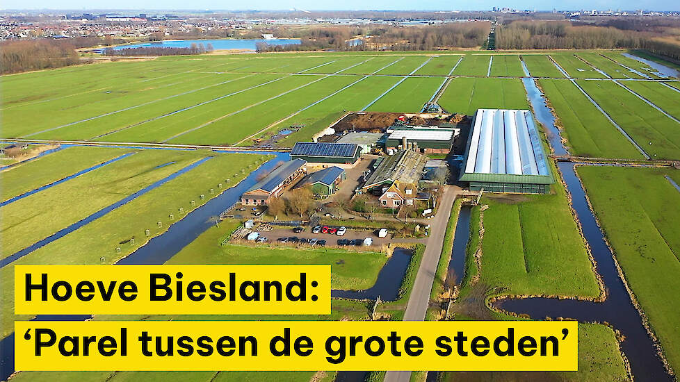 Hoeve Biesland: ‘Parel tussen de grote steden’