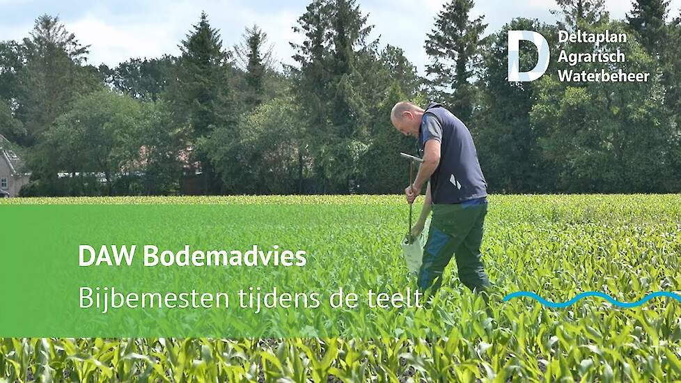 Beter bijbemesten met inzicht in nutriënten