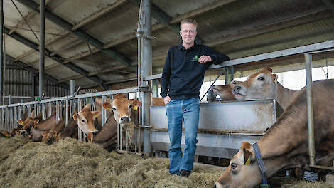 Extensivering past bij Michel Hoogendoorn. Dat is voor hem een reden om met Jersey's te werken.
