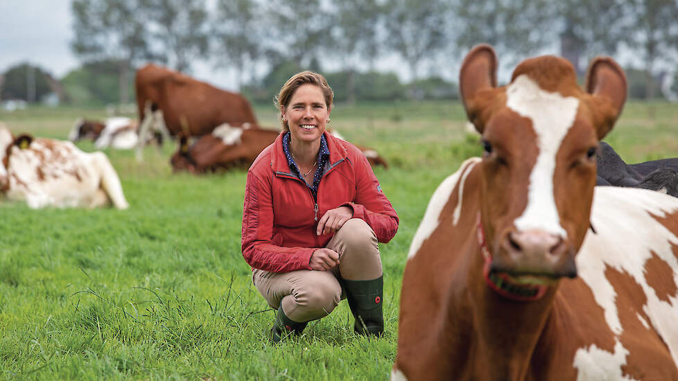 Petra Groenewegen: „Het uiteindelijke doel van weidevogelbeheer is dat de vogels zich thuis voelen op onze percelen.”