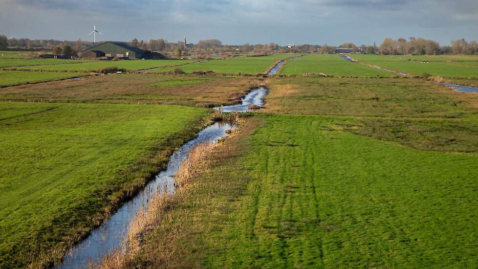 Beeld ter illustratie.