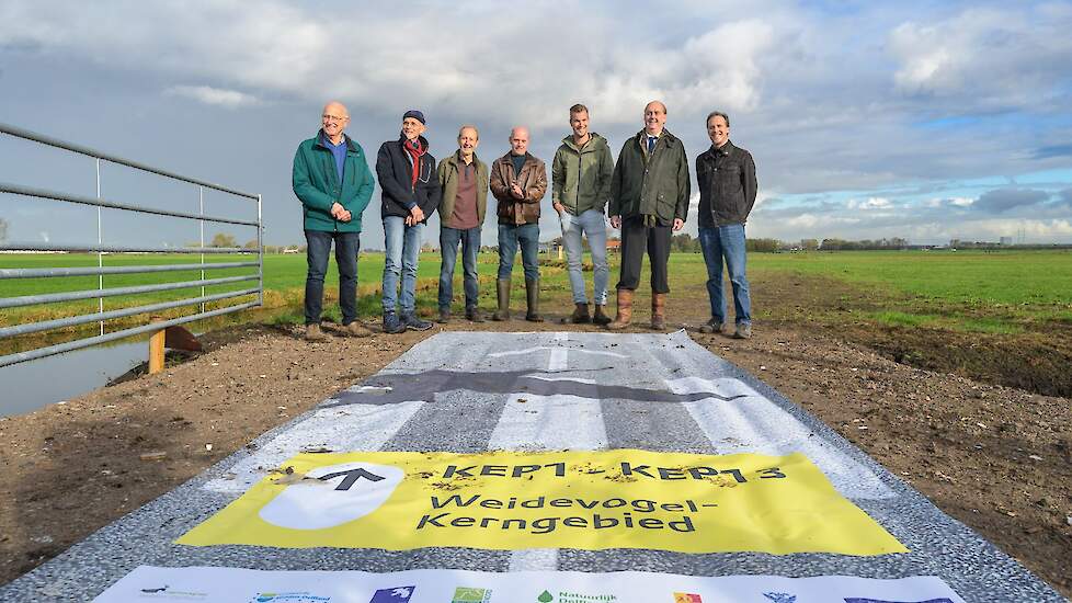 Boeren gaan nieuw weidevogelkerngebied bij Schipluiden beheren: 'Na kavelruil werd het mogelijk'
