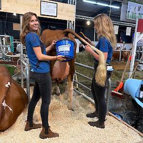 De koeien worden goed verzorgd en constant in de gaten gehouden. Dat levert soms bijzondere taferelen op.