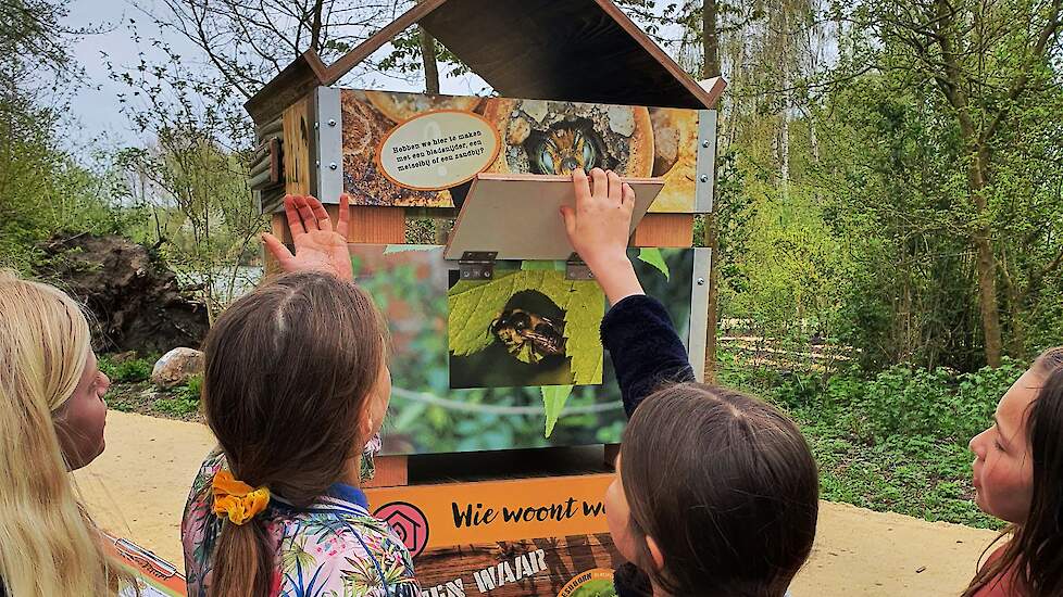 Een bijenflat op de Floriade.