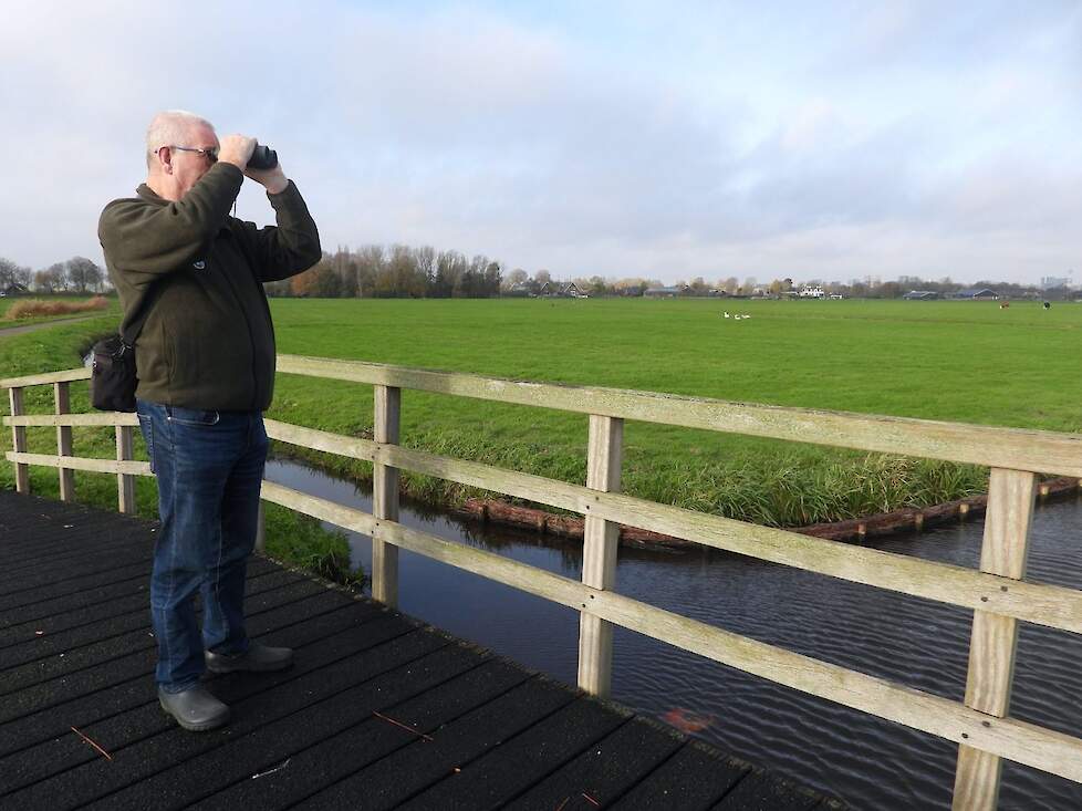 Aad van Paassen op zoek naar kieviten in de Duivendrechterpolder.