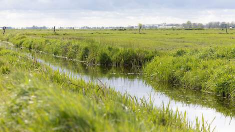 Gebiedsgerichte aanpak stikstof wordt uitgebreid