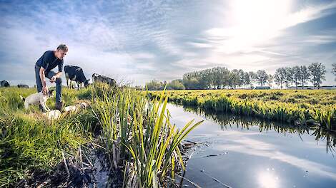 Laatste jaar coaching en subsidies voor boeren via Landbouwportaal Rijnland