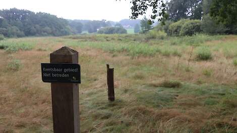 Column: Boerengebiedskennis en meetdata stellen bemestingsverbod ter discussie