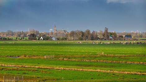 Utrecht niet eens met kritiek Ronald Meester op Aerius en natuurdoelanalyses: 'Kwaliteit van wetenschap achter de KDW achten wij hoog'