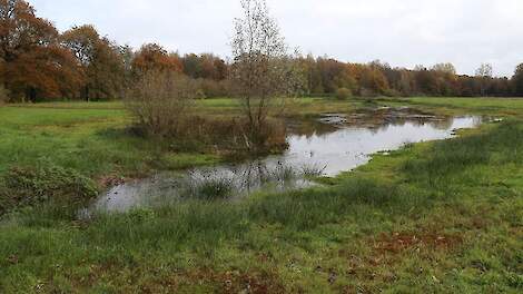 LTO: Rijk moet regie pakken bij maatregelen rondom Natura 2000-gebieden