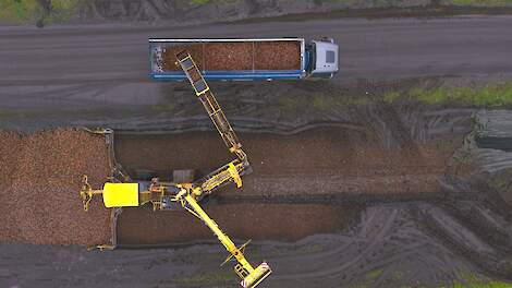 Video: Laatste loodjes bietencampagne voorspellen hoogste suikerhalte in vijf jaar