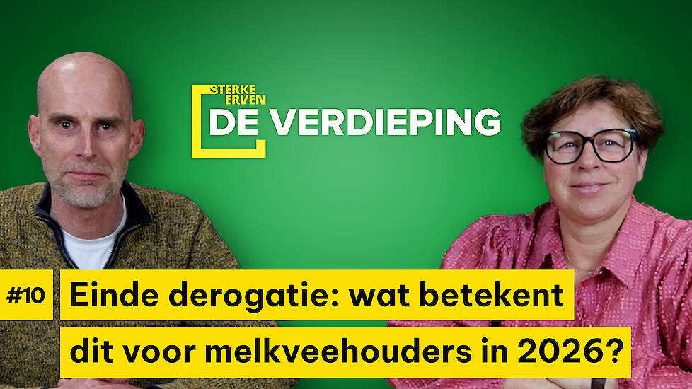 Einde derogatie: wat betekent dit voor melkveehouders in 2026?