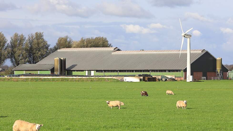 Noord-Hollandse en Flevolandse boeren helpen netcongestie met windmolens oplossen