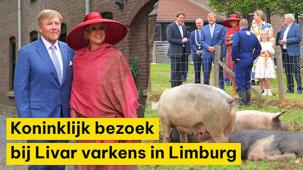 Koninklijk bezoek in Limburg: &lsquo;Ze begrijpen heel goed met welke spanningen boeren te maken hebben&rsquo;