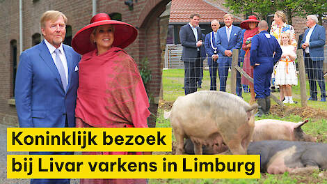 Koninklijk bezoek in Limburg: &lsquo;Ze begrijpen heel goed met welke spanningen boeren te maken hebben&rsquo;