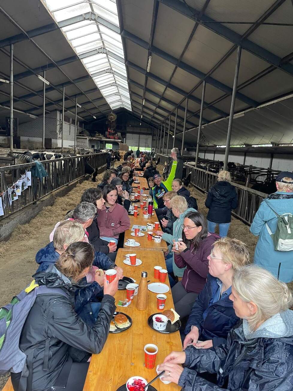 Actie met dauwtrappen en lunch op de boerderij
