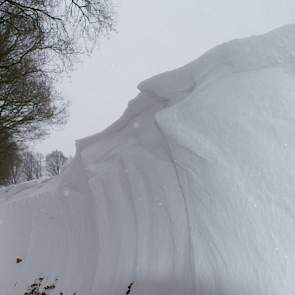 Sneeuwduinen in Drenthe (foto: Kees Jan Pluimert)