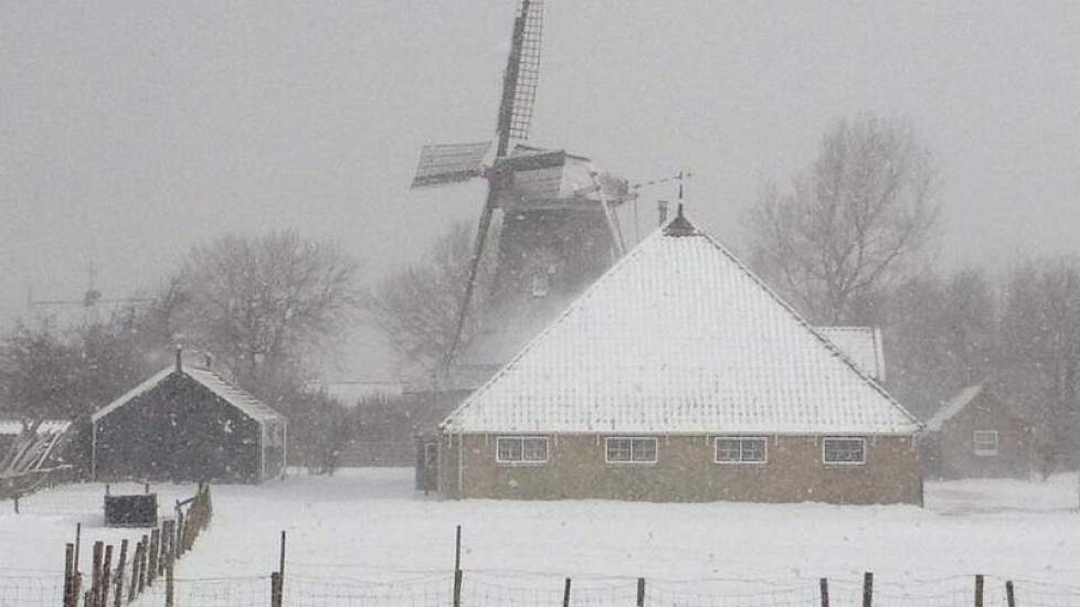 Sneeuw op de Wadden van vanochtend.