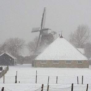 Sneeuw op de Wadden van vanochtend.