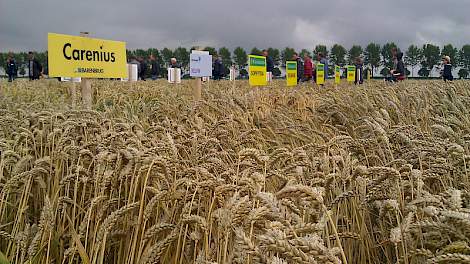 Ruim 500 bezoekers bezochten de Graandemodag in Westmaas.